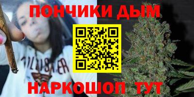 бошки Гатчина