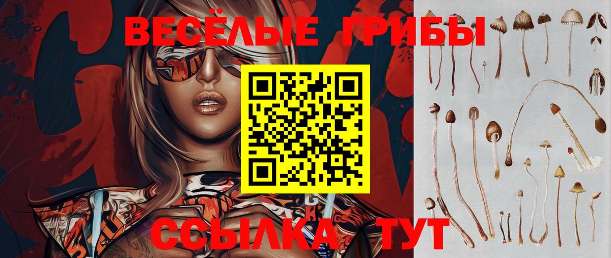 Жигулёвск  Псилоцибиновые грибы Magic Shrooms  Вход с VPN 